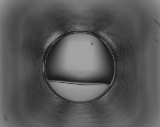 X0000093591269200710151010