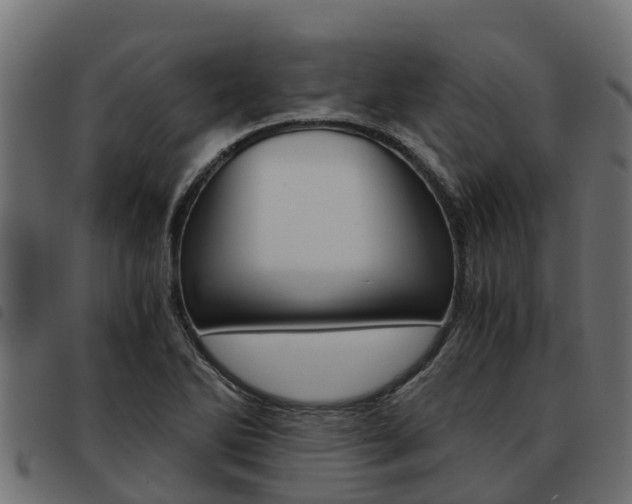 X0000093591270200710151010