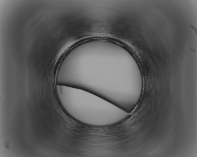 X0000093591271200710151010
