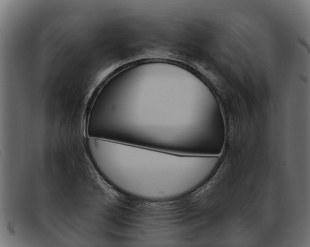 X0000093591272200710151010