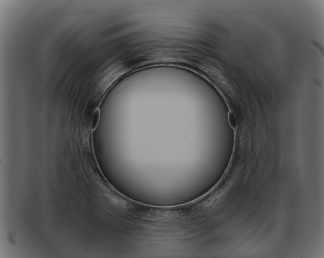 X0000093591273200710151010