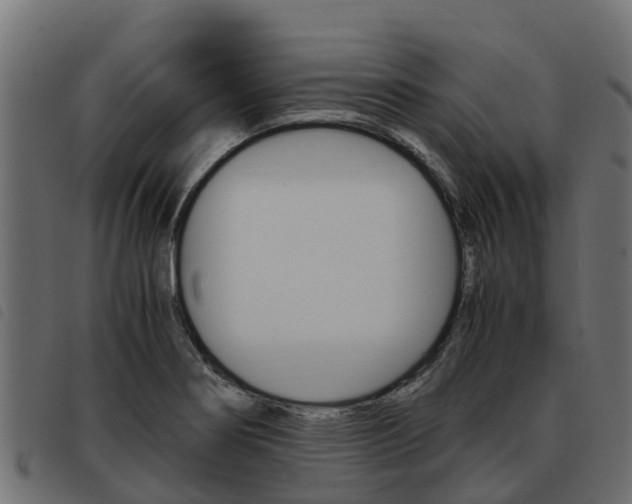 X0000093591274200710151010