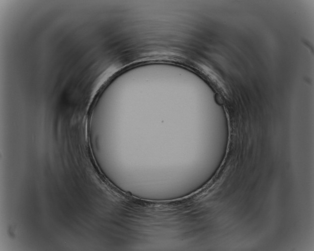X0000093591275200710151010
