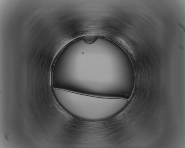 X0000093591276200710151010