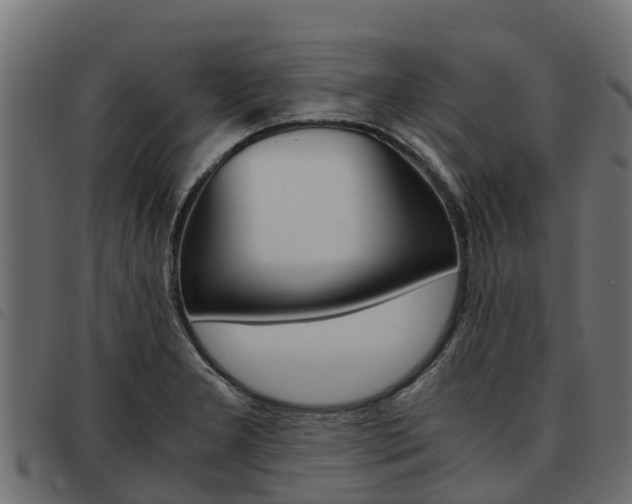 X0000093591277200710151010
