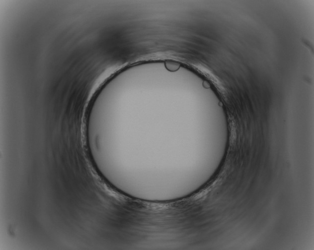 X0000093591278200710151010