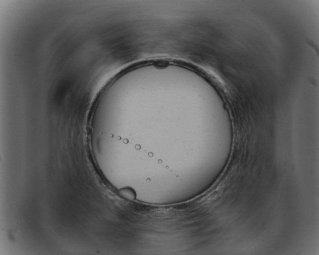 X0000093591279200710151010