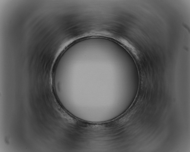 X0000093591280200710151010