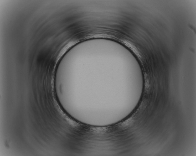 X0000093591282200710151010