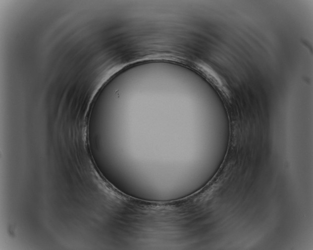 X0000093591284200710151010