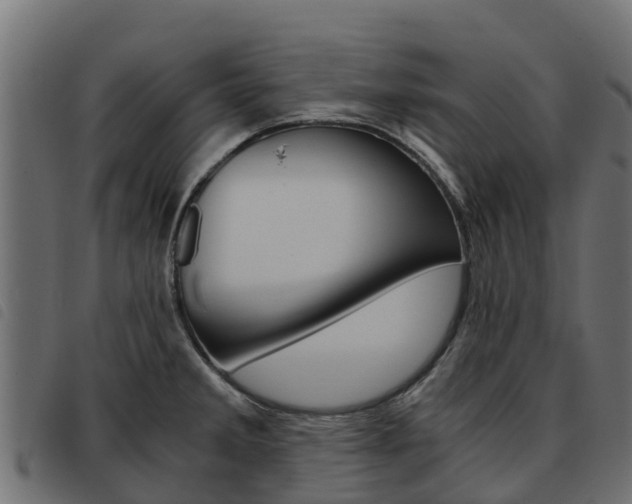 X0000093591285200710151010