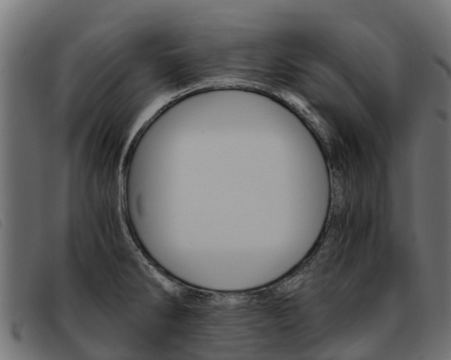 X0000093591286200710151010