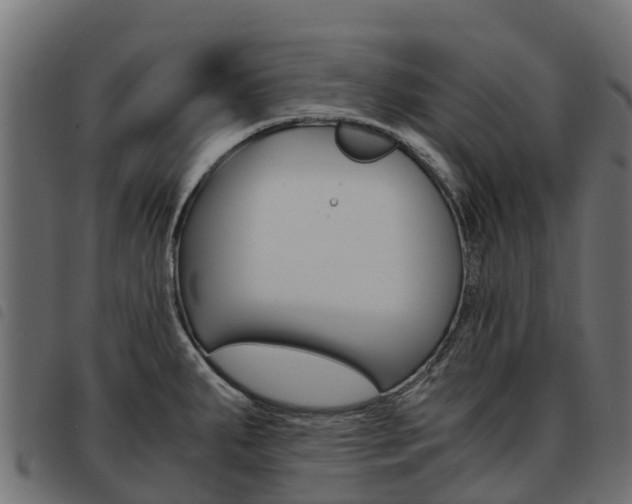 X0000093591287200710151010