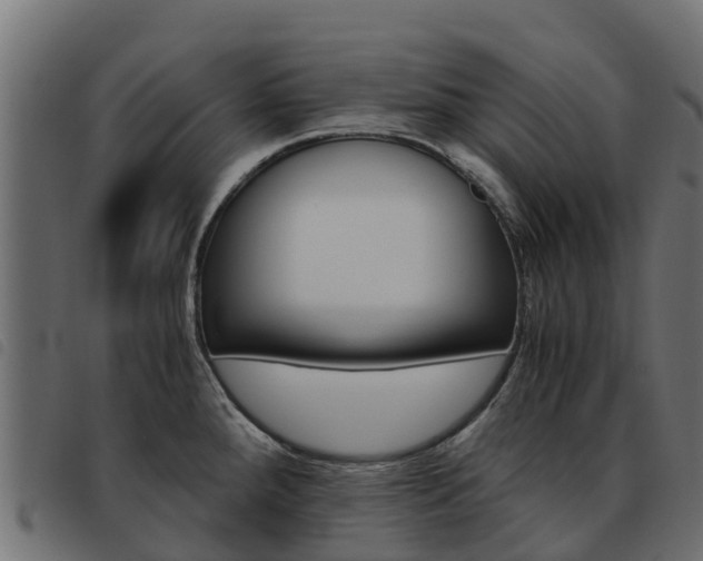X0000093591288200710151010