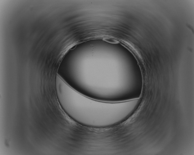 X0000093591289200710151010