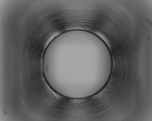 X0000093591290200710151010