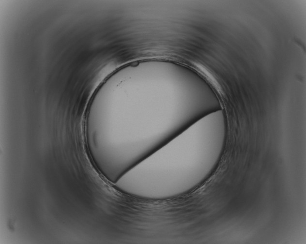 X0000093591291200710151010