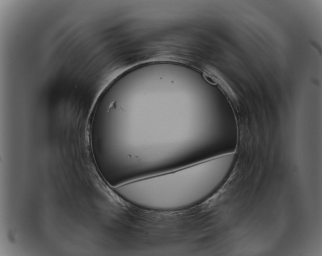 X0000093591292200710151010