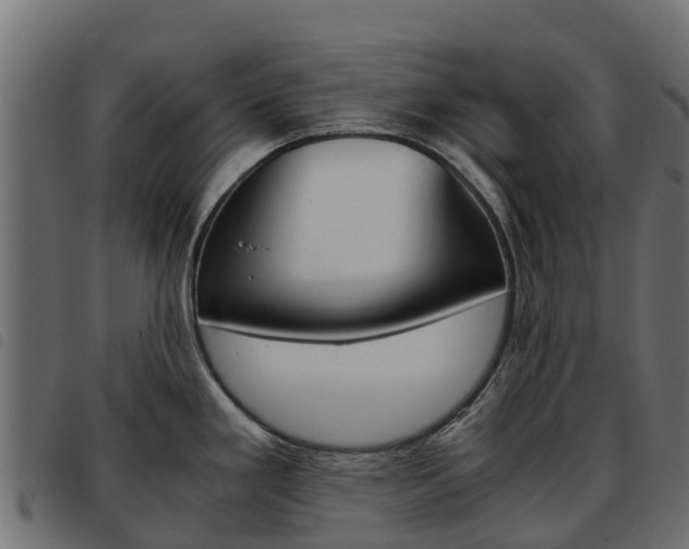X0000093591293200710151010