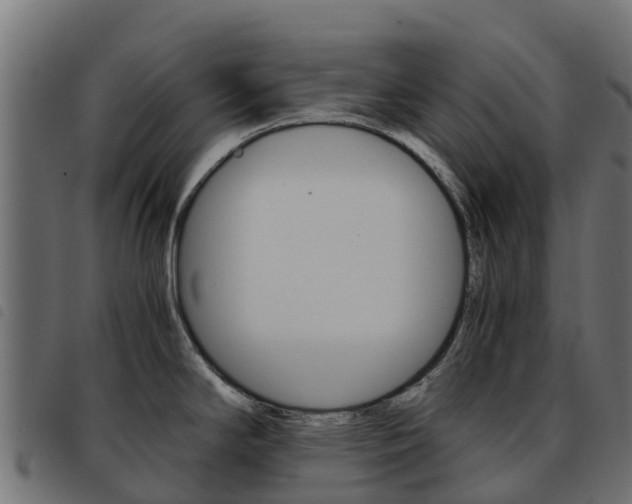 X0000093591294200710151010