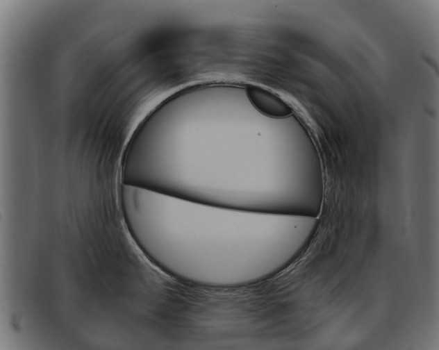 X0000093591295200710151010