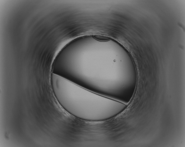 X0000093591296200710151010