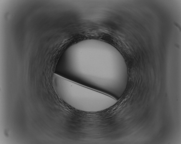 X0000093591297200710151009