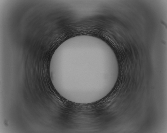 X0000093591298200710151009