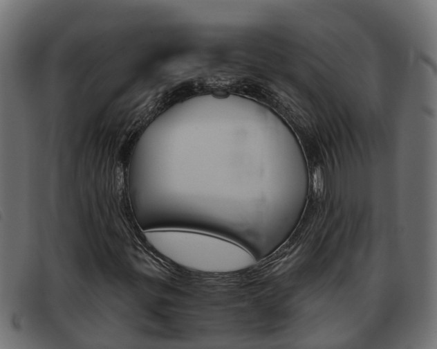 X0000093591299200710151009