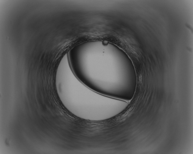 X0000093591300200710151009