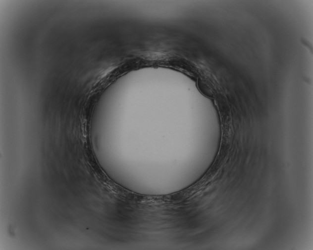 X0000093591301200710151009