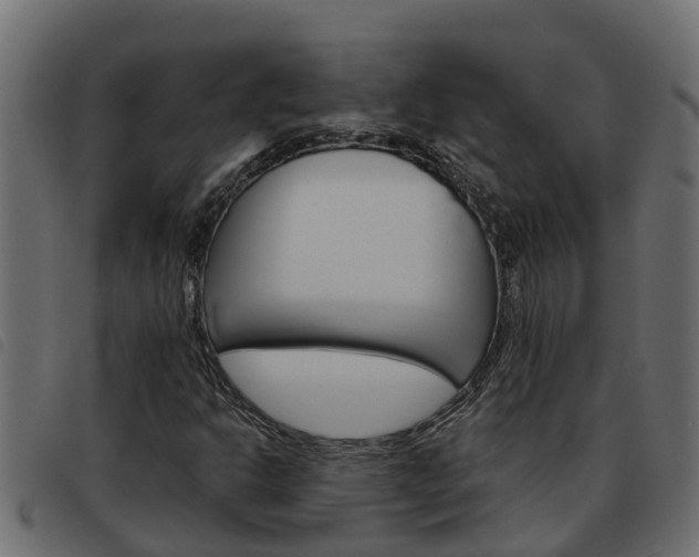 X0000093591302200710151009