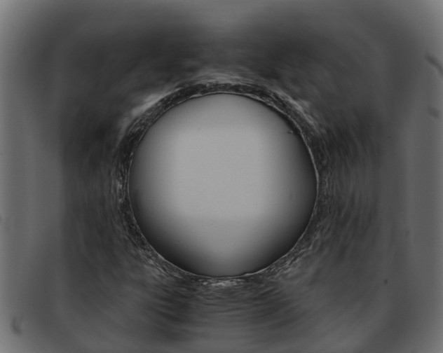X0000093591303200710151009