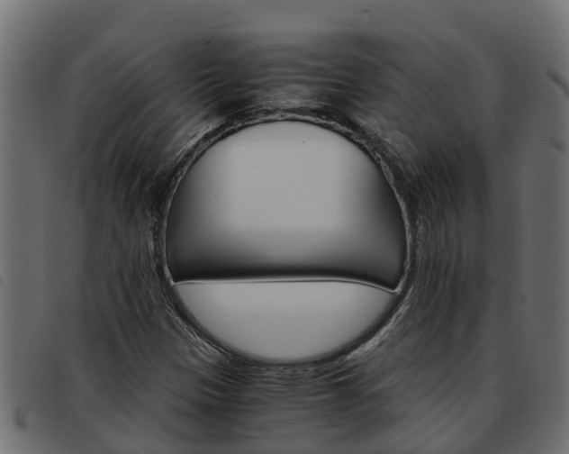 X0000093591305200710151009