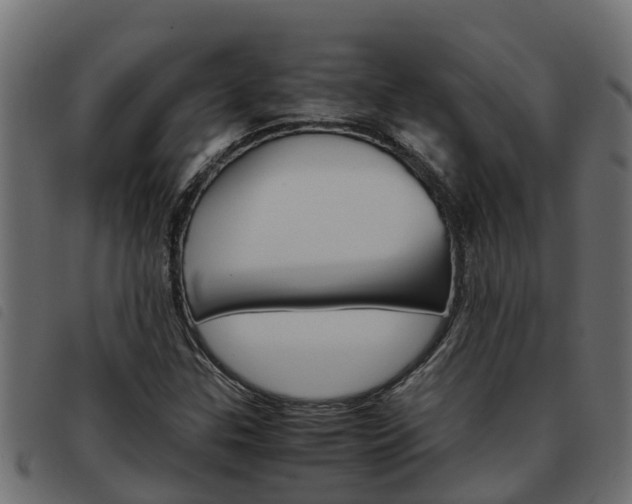 X0000093591307200710151009