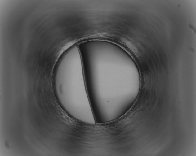 X0000093591308200710151009