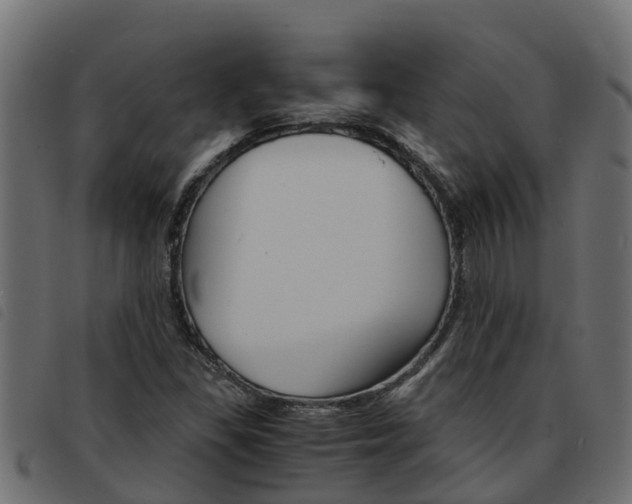 X0000093591309200710151009