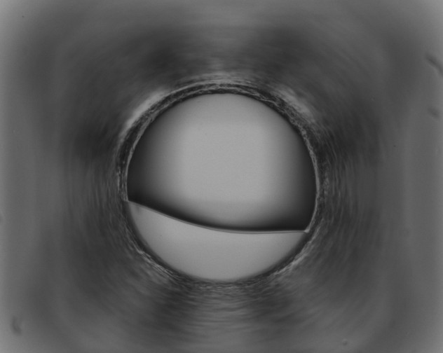 X0000093591310200710151009