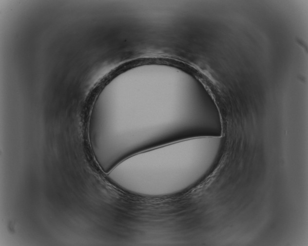 X0000093591311200710151009