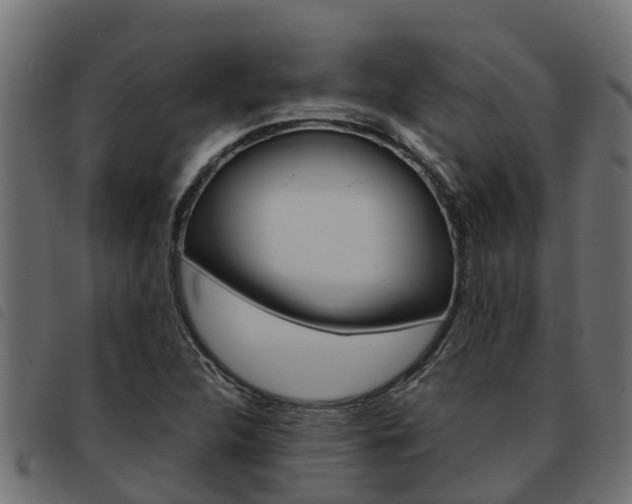 X0000093591312200710151009