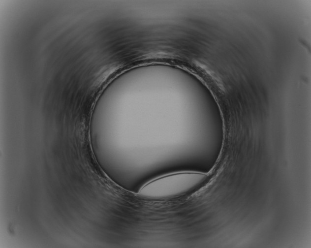 X0000093591313200710151009