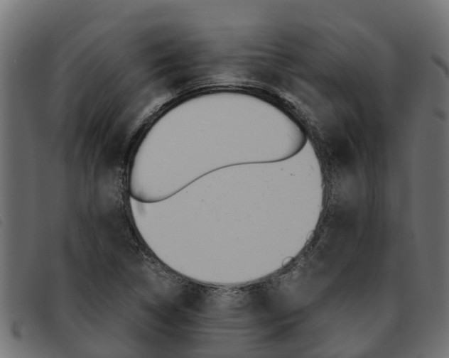 X0000093591314200710151009