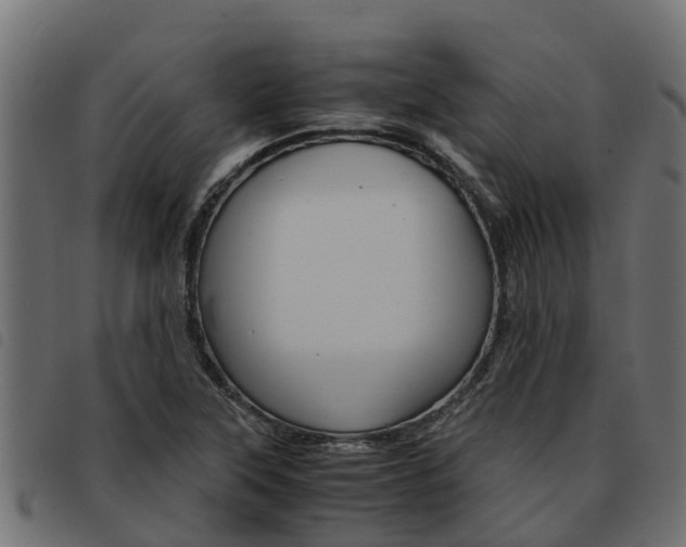X0000093591315200710151009