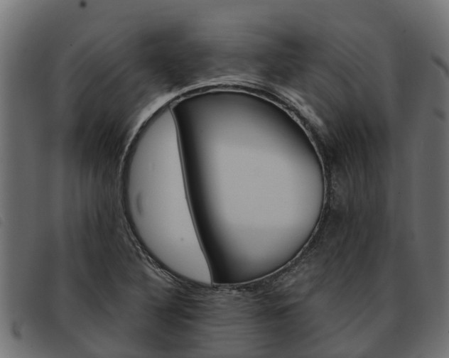 X0000093591316200710151009