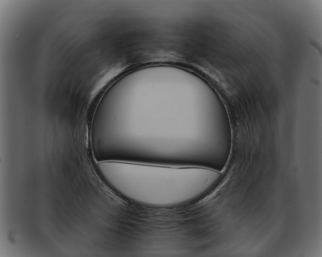 X0000093591317200710151009