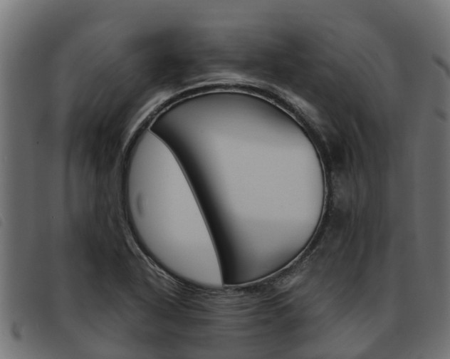 X0000093591318200710151009