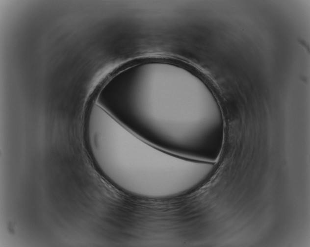 X0000093591319200710151009