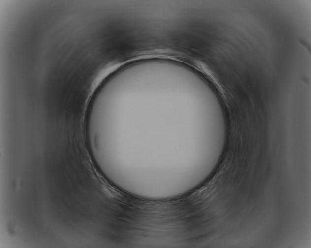 X0000093591320200710151009