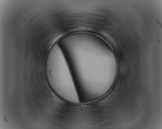 X0000093591321200710151009