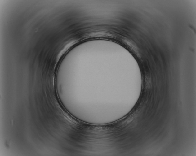 X0000093591322200710151009